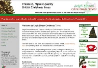 Leigh Sinton Christmas Trees 256012 Image 9